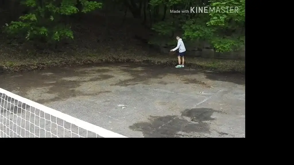 Tenis ziemny