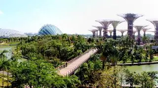 Gardens by the Bay