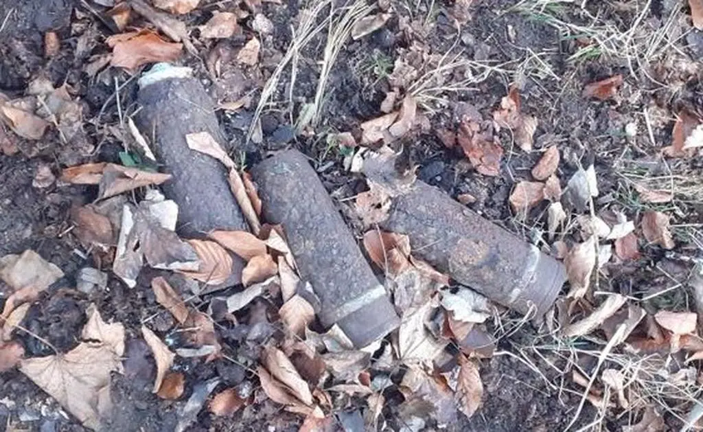 Pociski znalezione w lesie