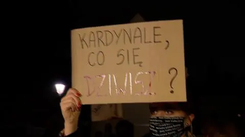Protestowali przed krakowską kurią i domem kardynała