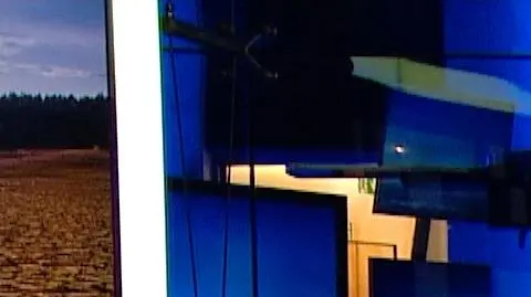 Remiszewska-Michalak: nie ma obszaru naszego życia, w którym zmiany klimatyczne nie odcisnęły już piętna