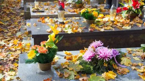 cmentarz kwiaty grob shutterstock_737399272