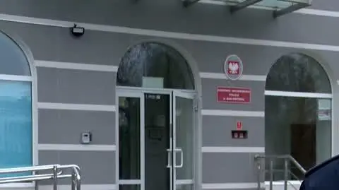 wycinka policja