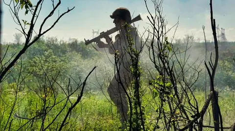 Ukraina, wojsko 