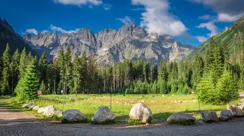 shutterstock_1063779068