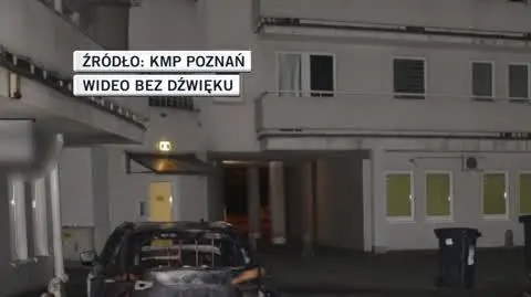 kmp 