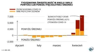 Aktualnie czytasz: Najwięcej zmarłych na Wyspach od 20 lat. "Każdy to człowiek, każdy miał rodzinę"