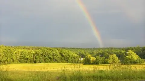 Pojawią się burze