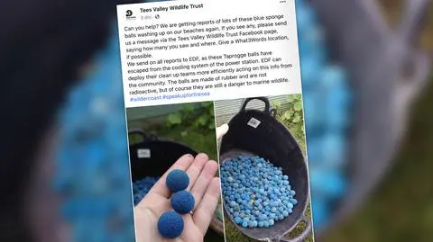 kulki sklejka2