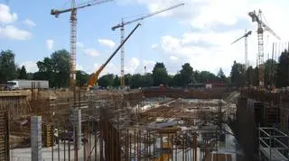 Budowa Afrykanarium skończy się na przełomie 2014 i 2015 roku