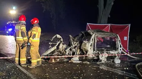 Zjechał z drogi i uderzył w drzewo. Samochód spłonął, kierowca nie żyje