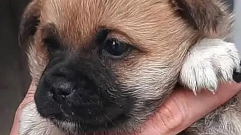 To może być "pierwsza taka ustawa w historii"