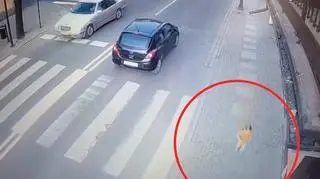 Dziewczyna była sama i przestraszona. Błąkała się po chodnikach 