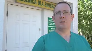 Pies zastrzelony z wiatrówki. Policja szuka sprawcy
