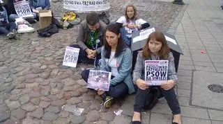 Do bud w całej Polsce przypięli się miłośnicy zwierząt