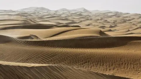 shutterstock_1460937719