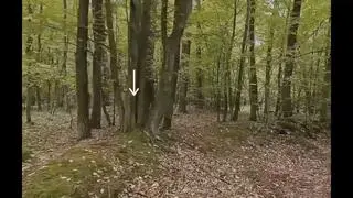 Kurhany są doskonale widoczne w terenie 