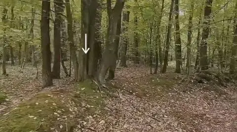 Kurhany są doskonale widoczne w terenie 