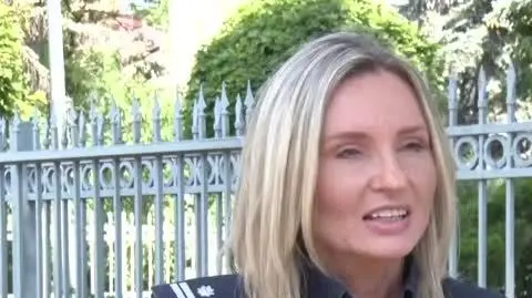 policja