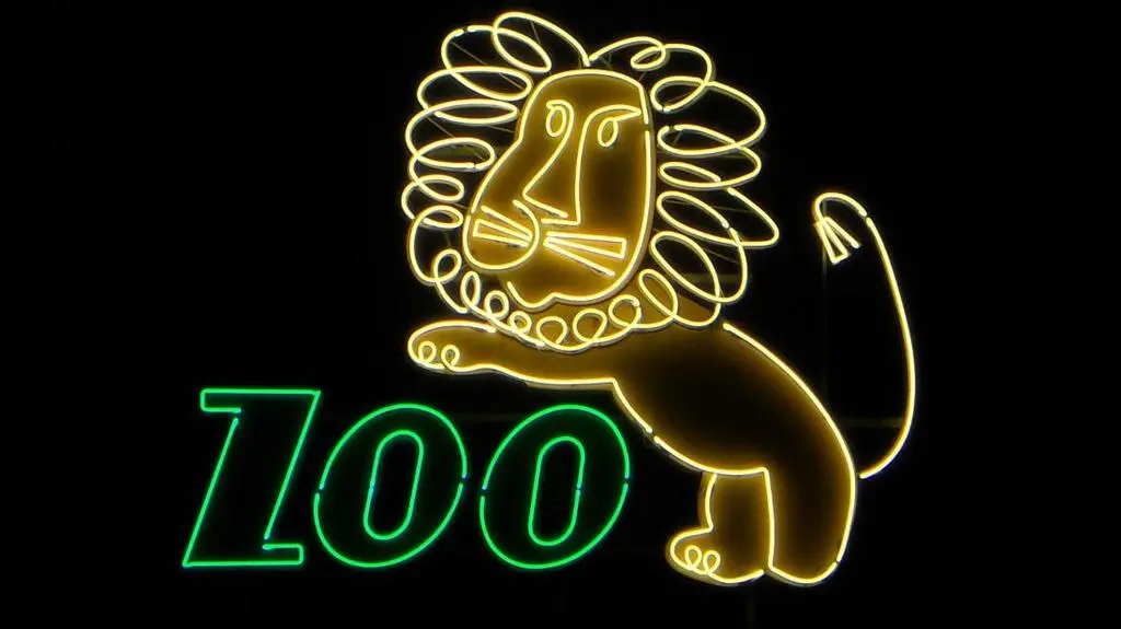 Lew znad ZOO