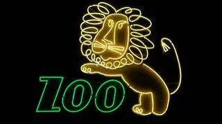 Lew znad ZOO