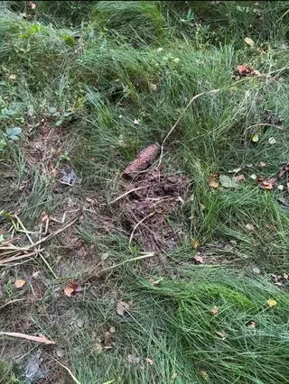 Niewybuchy pochodzące z okresu II wojny światowej zostały znalezione przez mieszkańca Jawczyc