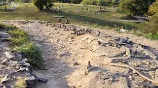 Zniszczona ścieżka na Kopcu Kraka w Krakowie