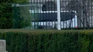 Autobusem do prezydenta. Duda przyjmie dymisję rządu Kopacz