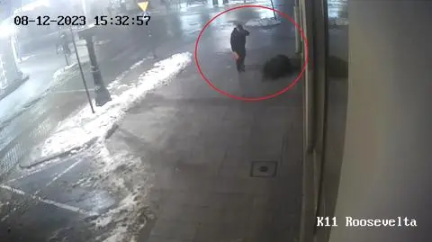 Do zdarzenia doszło na ulicy Piotrkowskiej w Łodzi