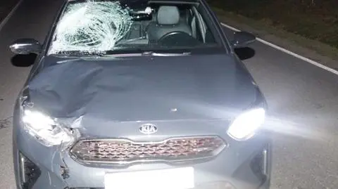 Szła nieoświetloną drogą, nie miała odblasków. Została potrącona, nie żyje