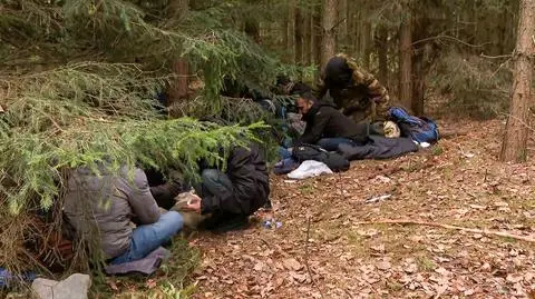 "Polska, Białoruś, Polska, i tak cały miesiąc". Wolą ukrywać się w lesie niż wrócić za wschodnią granicę