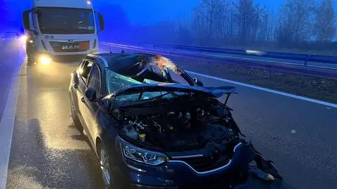 Dwa auta zderzyły się z końmi. "Właściciel stada odpowie za niewłaściwe zabezpieczenie"