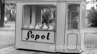 Kiosk z lodami na MTP