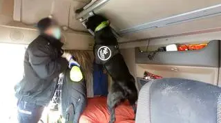 Carlos sniffs out heroin hidden in cargo