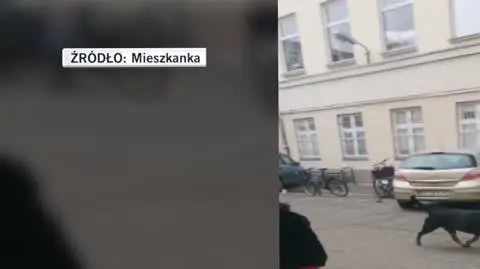 Mieszkanka