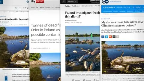 "Tajemnicza śmierć ryb w Odrze: zmiana klimatu czy trucizna?". Zachodnie media o katastrofie ekologicznej