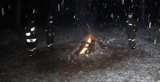 Ranny żubr leżał przy drodze, zabezpieczali go strażacy