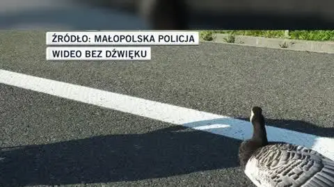 małopolska policja