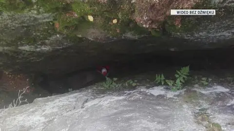 Pies wpadł do szczeliny. Pomogli mu ratownicy GOPR