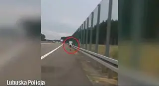 Piesza na drodze ekspresowej