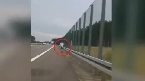 Pokłóciła się z partnerem i ruszyła pieszo poboczem drogi ekspresowej