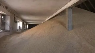 Zboże w magazynie pana Jerzego