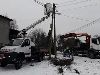 Energetycy odbudowali bocianie gniazdo