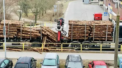 Gwałtownie hamował, z ciężarówki wysypało się drewno
