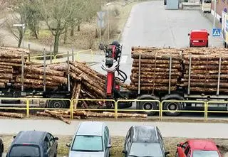 Gwałtownie hamował, z ciężarówki wysypało się drewno