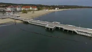 Sopot jest w strefie zagrożenia wystąpienia ptasiej grypy