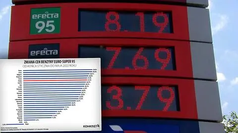 Rzecznik rządu o benzynie: "Wzrosły też ceny w Europie". Czy tak dynamicznie jak w Polsce?
