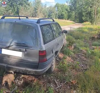 Kierowca wypadł z polnej drogi i zawisł autem na pniu