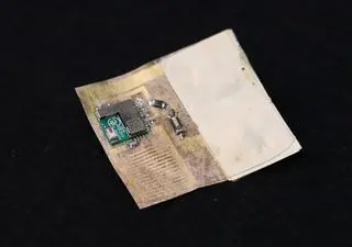 Płytka elektroniczna wytworzona z grzybni