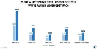 Aktualnie czytasz: W listopadzie prawie dwa razy więcej zgonów niż w poprzednich latach. "Należy to wiązać z pandemią"